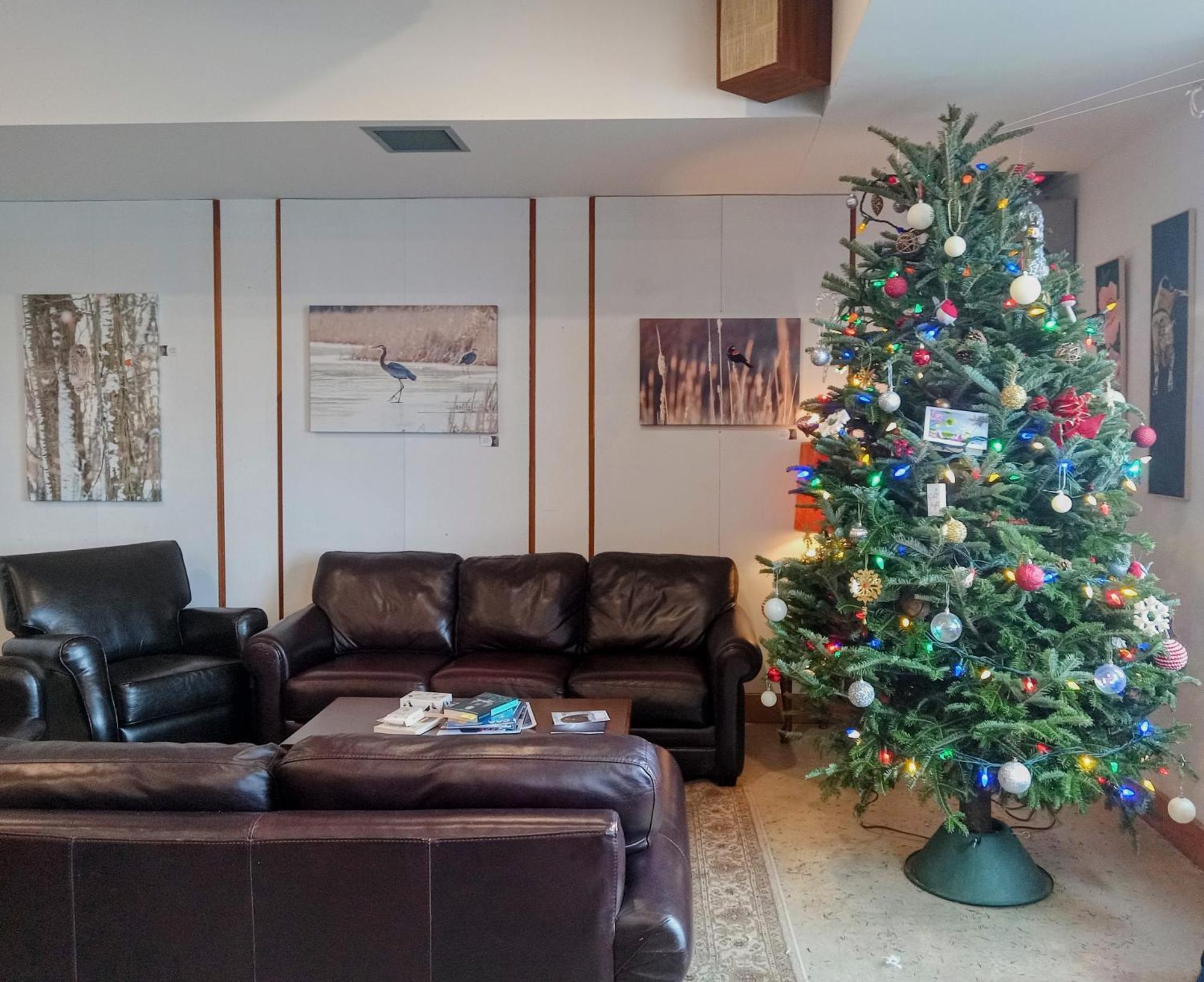 Hotel Wolfe Island Marysville Esterno foto